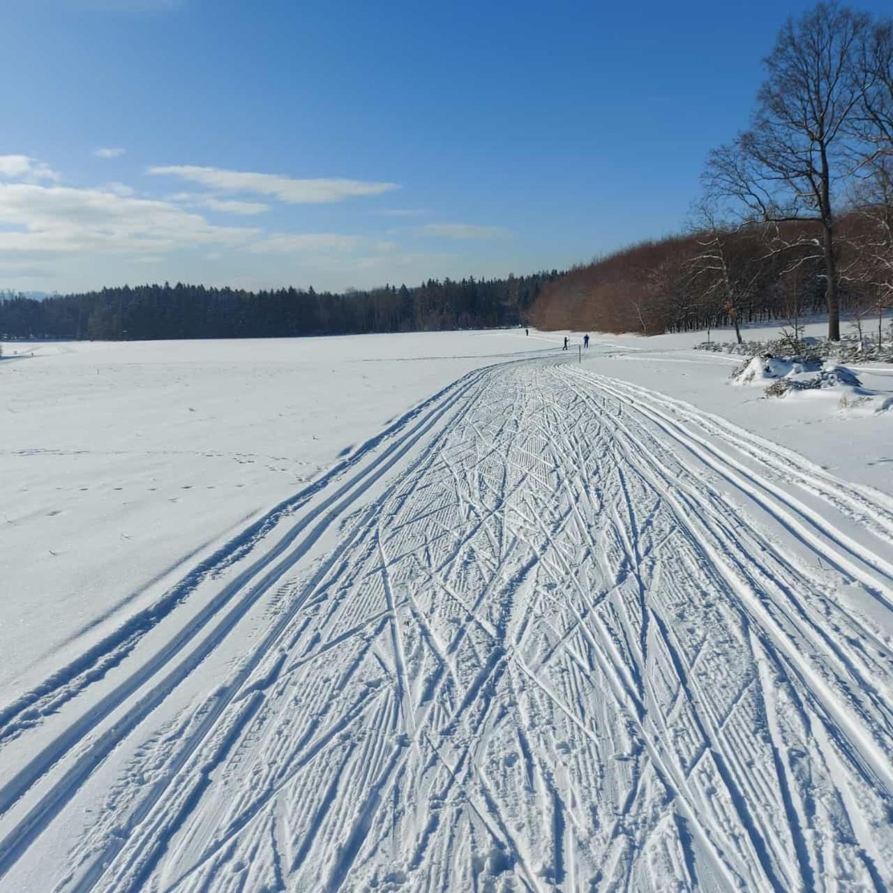 Landhotel Waldschloesschen Mit Gaststube Sohland an der Spree ภายนอก รูปภาพ
