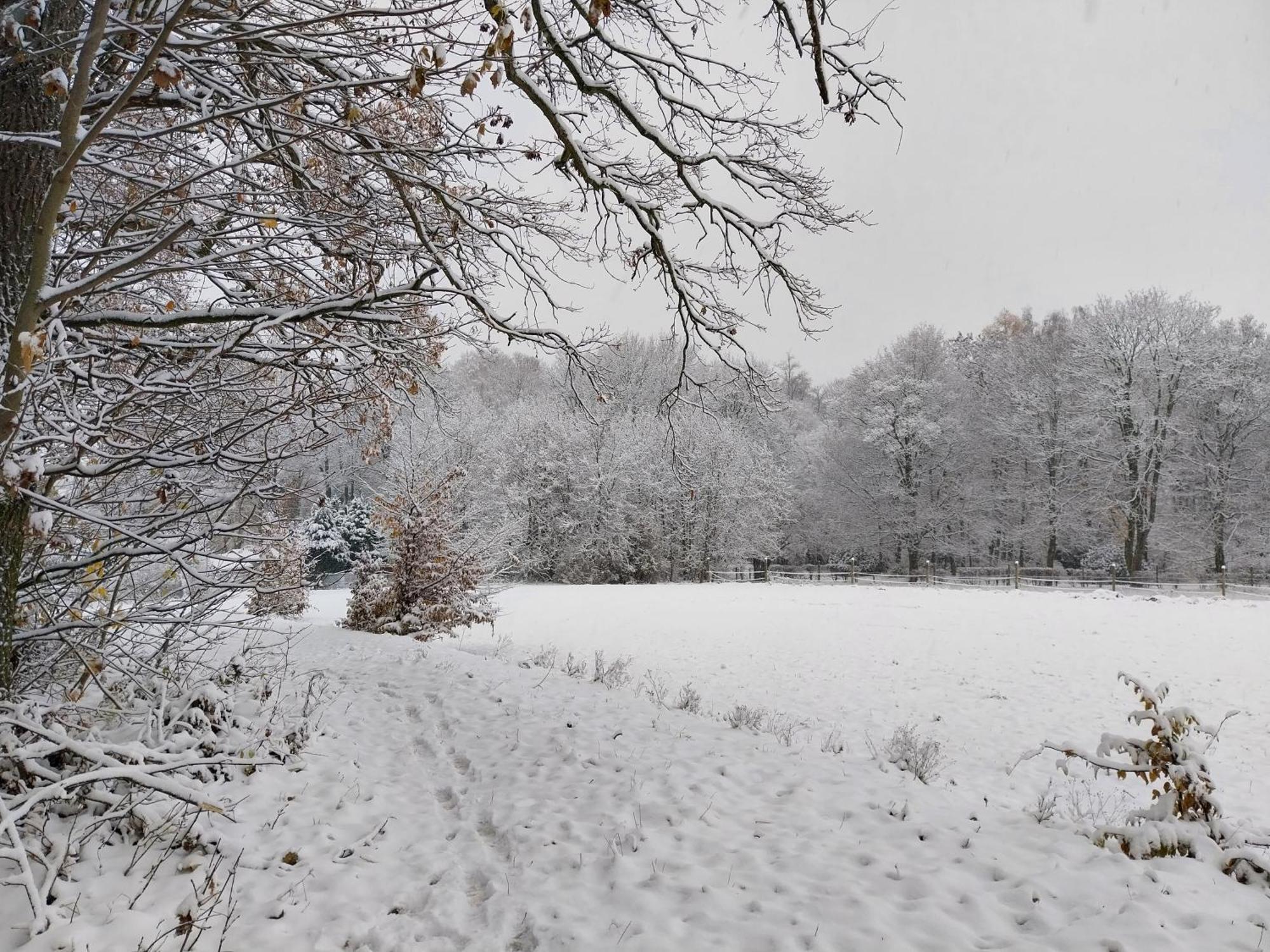 Landhotel Waldschloesschen Mit Gaststube Sohland an der Spree ภายนอก รูปภาพ