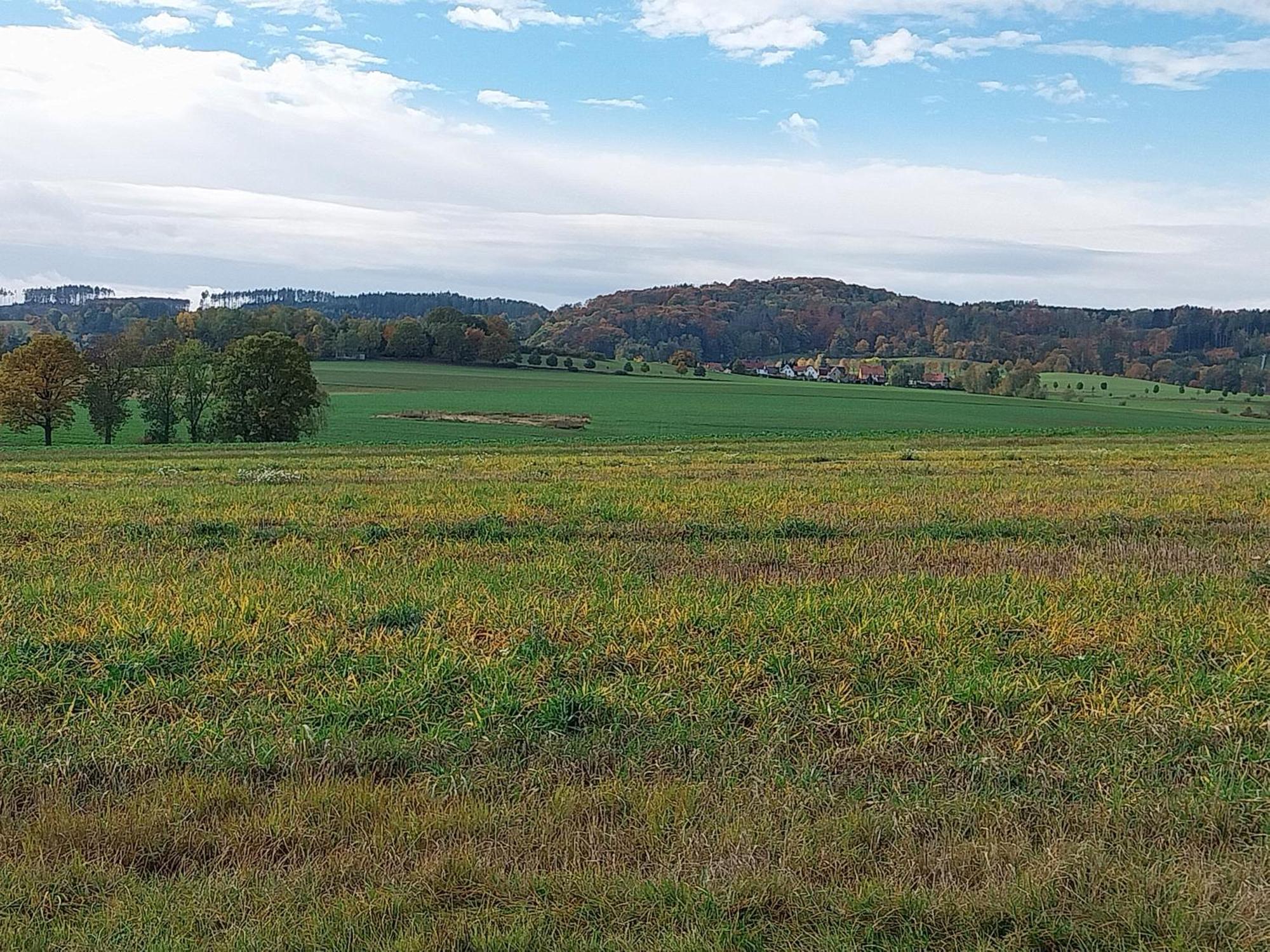 Landhotel Waldschloesschen Mit Gaststube Sohland an der Spree ภายนอก รูปภาพ